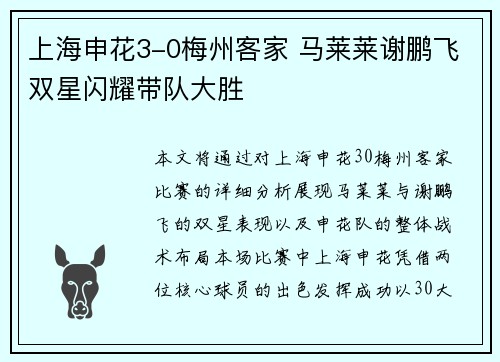上海申花3-0梅州客家 马莱莱谢鹏飞双星闪耀带队大胜