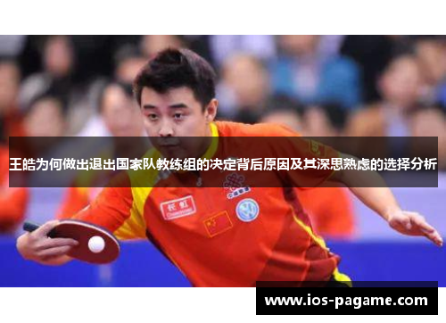 王皓为何做出退出国家队教练组的决定背后原因及其深思熟虑的选择分析