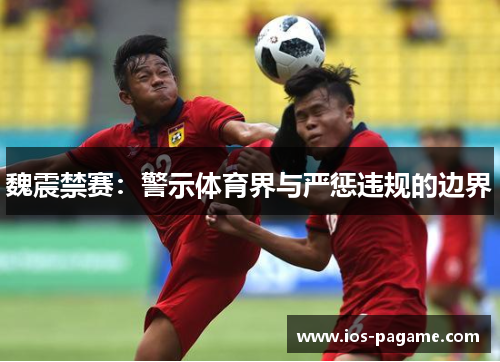 魏震禁赛：警示体育界与严惩违规的边界