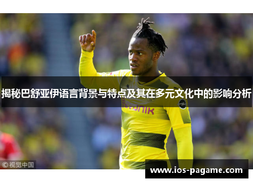 揭秘巴舒亚伊语言背景与特点及其在多元文化中的影响分析 揭秘巴舒亚伊语言背景与特点及其在多元文化中的影响分析